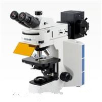 實(shí)驗(yàn)室熒光生物顯微鏡